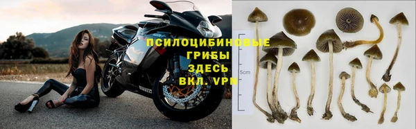 меф Алзамай