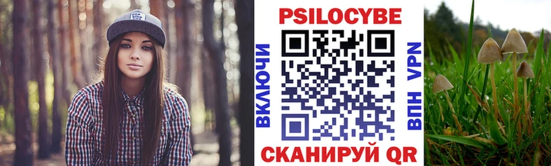 наркота  Якутск  hydra вход  Псилоцибиновые грибы ЛСД 